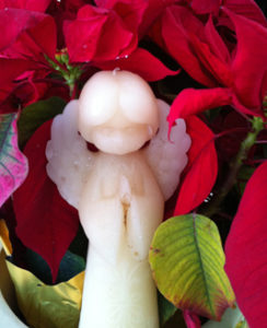 Angel in Red Poinsettia