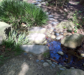 Stepping stones across stream